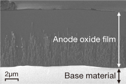 Cross-section of alumite film